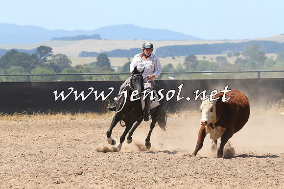 BraidwoodCampdraft2014_0688