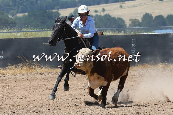 BraidwoodCampdraft2014_0755