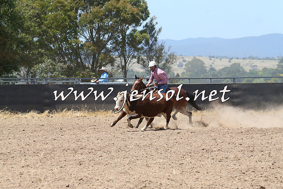 BraidwoodCampdraft2014_0865