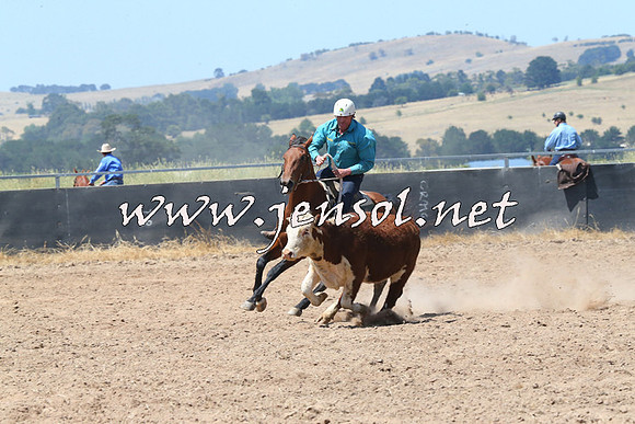 BraidwoodCampdraft2014_0773