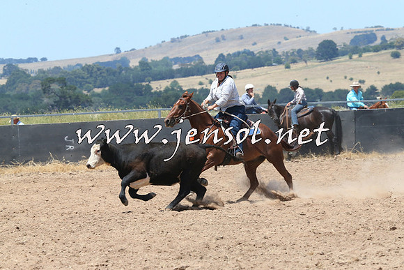 BraidwoodCampdraft2014_0893