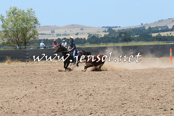BraidwoodCampdraft2014_0920