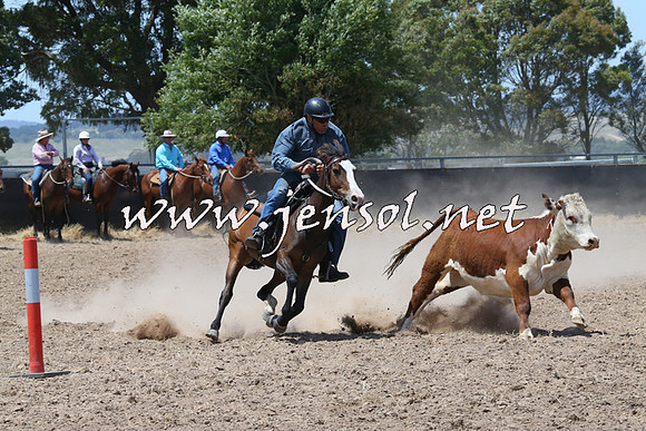 BraidwoodCampdraft2014_0856