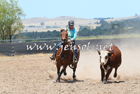 BraidwoodCampdraft2014_1006