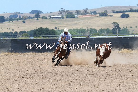 BraidwoodCampdraft2014_0998