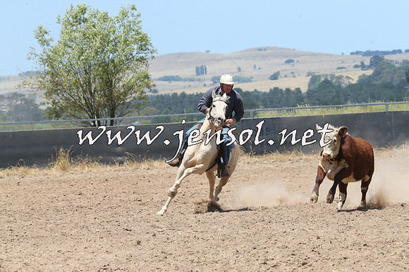 BraidwoodCampdraft2014_0944