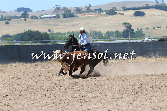 BraidwoodCampdraft2014_0756