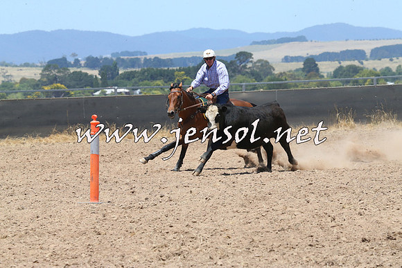 BraidwoodCampdraft2014_1035