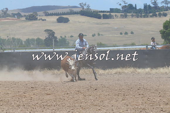 BraidwoodCampdraft2014_1022