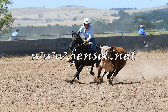 BraidwoodCampdraft2014_0761