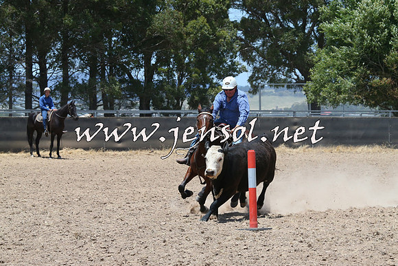 BraidwoodCampdraft2014_1051