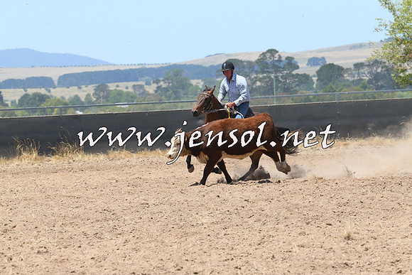 BraidwoodCampdraft2014_0891