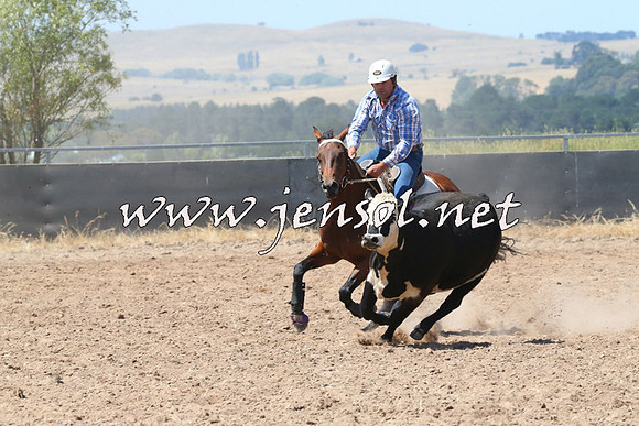 BraidwoodCampdraft2014_0693