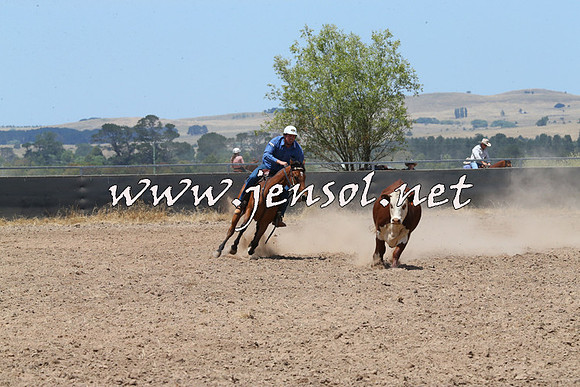 BraidwoodCampdraft2014_0907