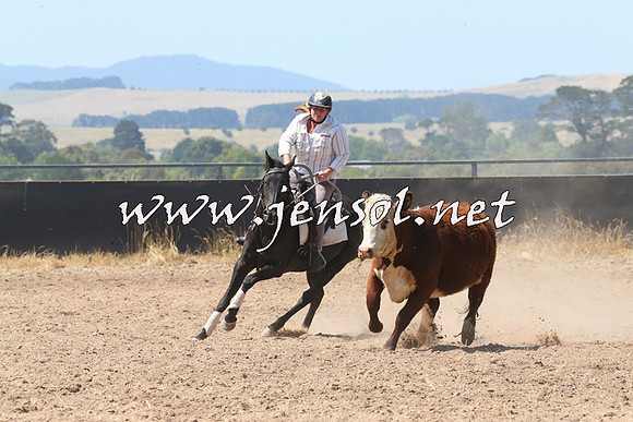 BraidwoodCampdraft2014_0691