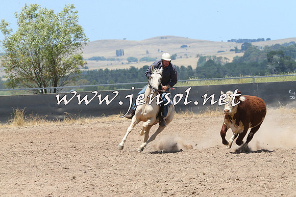 BraidwoodCampdraft2014_0945