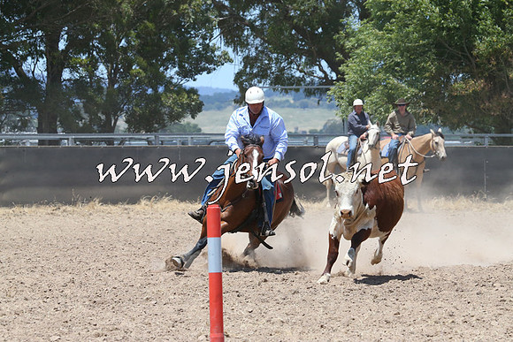 BraidwoodCampdraft2014_0966