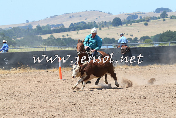 BraidwoodCampdraft2014_0775