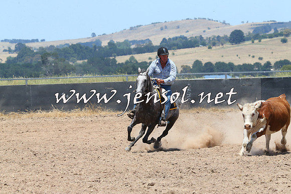 BraidwoodCampdraft2014_1015