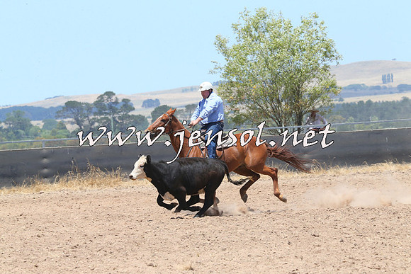 BraidwoodCampdraft2014_1039