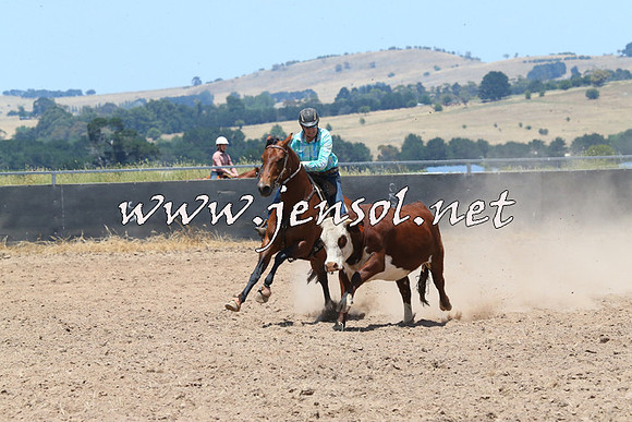 BraidwoodCampdraft2014_1013