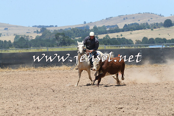 BraidwoodCampdraft2014_0943