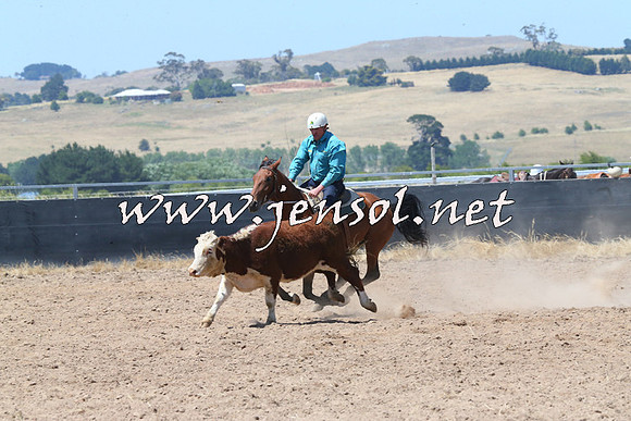 BraidwoodCampdraft2014_0776