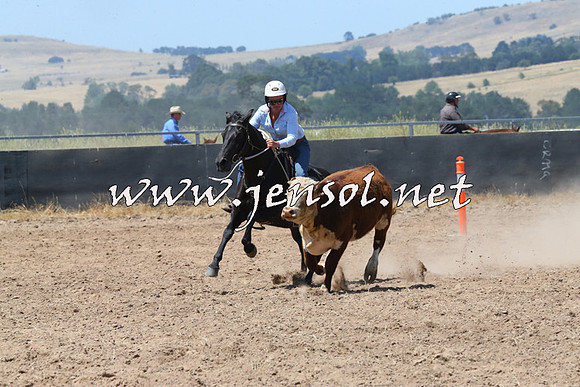 BraidwoodCampdraft2014_0766