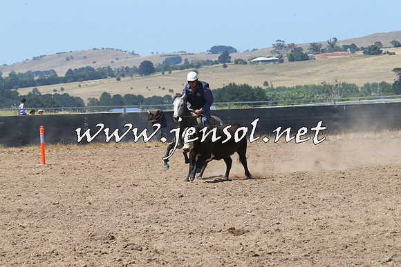 BraidwoodCampdraft2014_0738