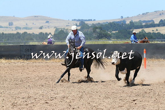 BraidwoodCampdraft2014_0799