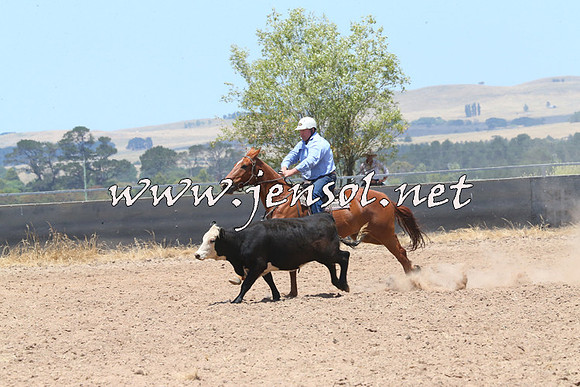 BraidwoodCampdraft2014_1038