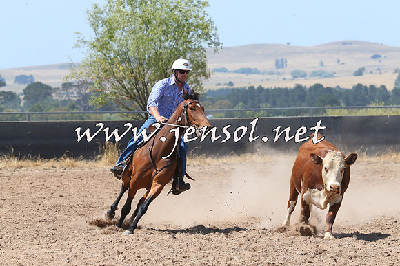BraidwoodCampdraft2014_0682
