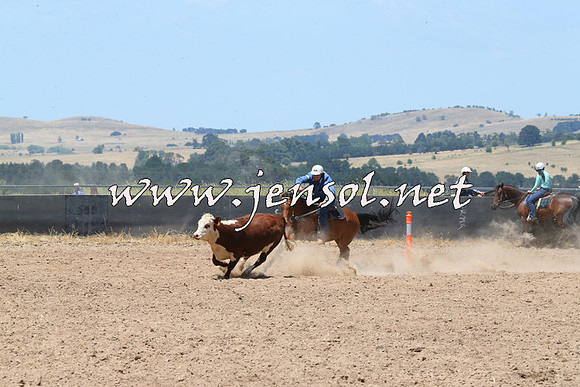 BraidwoodCampdraft2014_0904