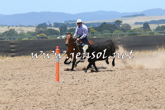 BraidwoodCampdraft2014_1033