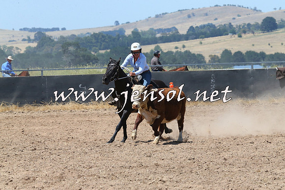 BraidwoodCampdraft2014_0767