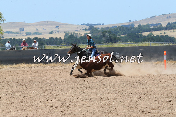 BraidwoodCampdraft2014_0922