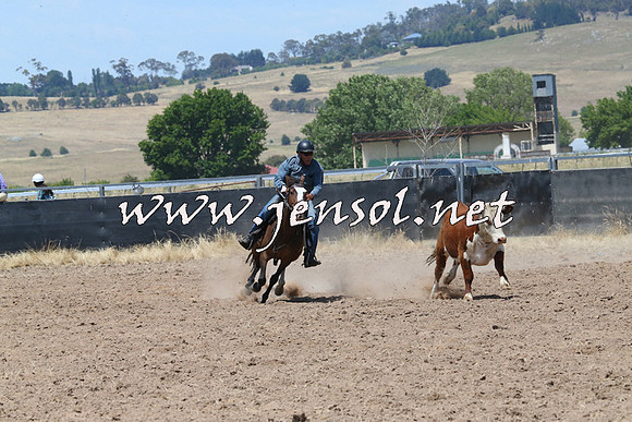 BraidwoodCampdraft2014_0841
