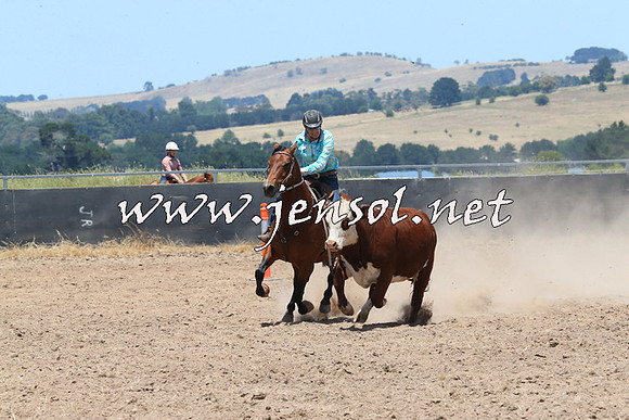 BraidwoodCampdraft2014_1011