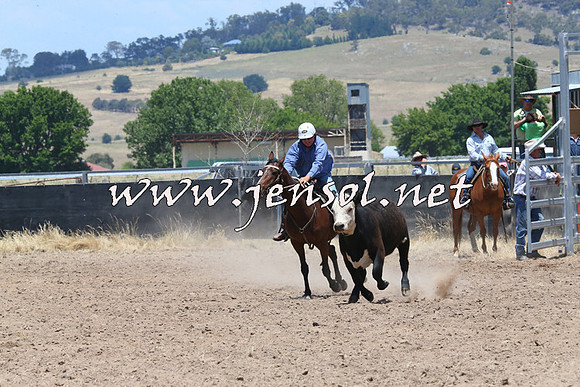 BraidwoodCampdraft2014_1046
