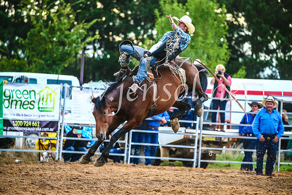 BraidwoodRodeo2017_3188