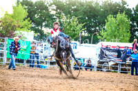 BraidwoodRodeo2017_3041
