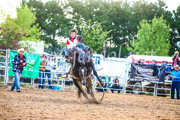 BraidwoodRodeo2017_3041