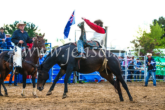 BraidwoodRodeo2017_3075