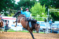 BraidwoodRodeo2017_3019