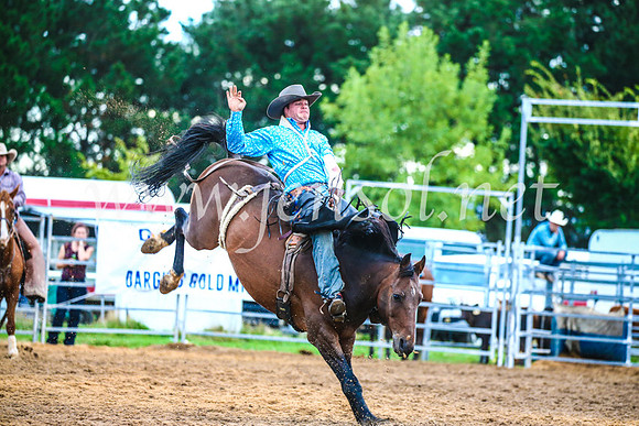 BraidwoodRodeo2017_3019