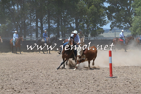BraidwoodCampdraft2014_0976