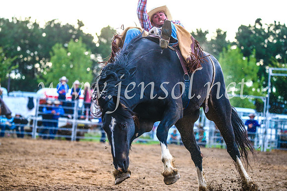 BraidwoodRodeo2017_3248