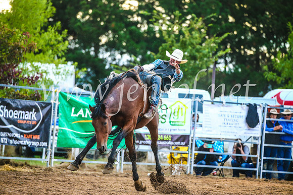 BraidwoodRodeo2017_3178