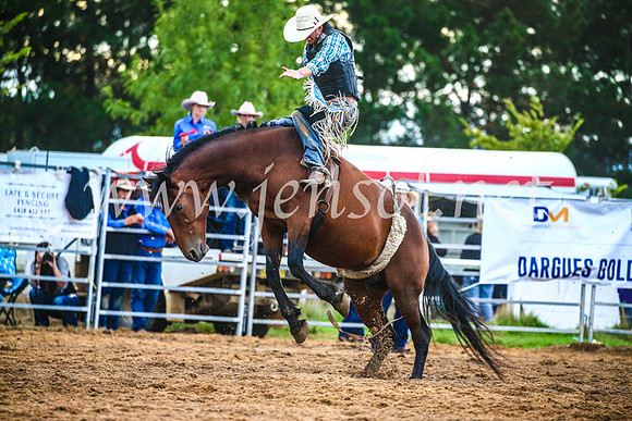 BraidwoodRodeo2017_3173