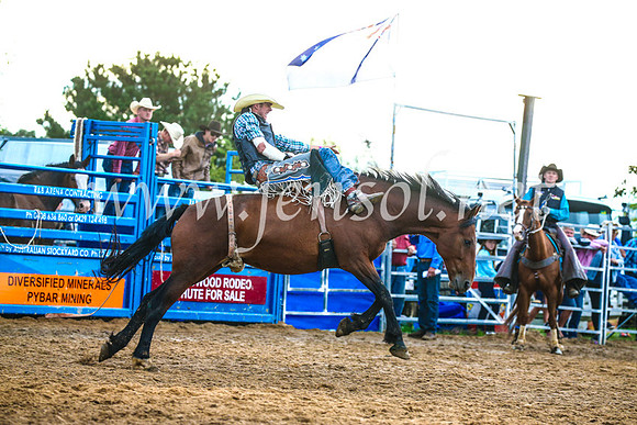 BraidwoodRodeo2017_3154